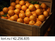 a bunch of oranges crammed in wooden boxes. Стоковое AI-изображение, AI-художник Юлия Гапеенко / Фотобанк Лори