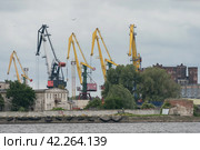 Kaliningrad, Russia - June 21, 2022: Working cranes on the river Pregolya or Pregola port for cargo industry.  Loading area of terminal. Редакционное фото, фотограф YuryKara / Фотобанк Лори
