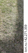 Shadow from the building on the spring lawn. Стоковое фото, фотограф Andrew_Swarga / Фотобанк Лори