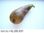 The pear became moldy. A mold or mould. The dust-like, colored appearance of molds is due to the formation of spores containing fungal secondary metabolites. Perishable food products. White background. Стоковое фото, фотограф Юлия Петровская / Фотобанк Лори