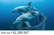 Dolphins in Trouble: Sea Nets Captivate Floating Inhabitants in the Depths of the Ocean. Стоковое AI-изображение, AI-художник Юрий Поздников / Фотобанк Лори