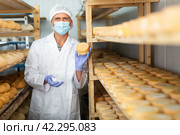 Cheesemaker in mask controlling maturing process of cheese wheels. Стоковое фото, фотограф Яков Филимонов / Фотобанк Лори