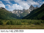 View of the floodplain of the Gonachkhir River in the northern foothills of the Caucasus Mountains near the village of Dombay on a sunny summer day, Karachay-Cherkessia, Russia. Стоковое фото, фотограф Ula Ulachka / Фотобанк Лори