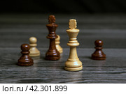 Chess kings on wooden background with pawns. Стоковое фото, фотограф Александр Калугин / Фотобанк Лори