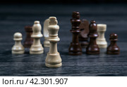 Chess white king and various chess pieces on a wooden background. Стоковое фото, фотограф Александр Калугин / Фотобанк Лори