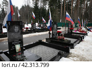 Балашиха, захоронения воинов павших в зоне СВО на Украине (2024 год). Редакционное фото, фотограф Дмитрий Неумоин / Фотобанк Лори