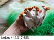 Knitted dogs jack russell terier toy with yarn and knitting accessories. Стоковое фото, фотограф Анатолий Типляшин / Фотобанк Лори
