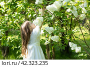 Cute little girl in white dress laughing in spring park near lilac. child smells lilac. Стоковое фото, фотограф Ирина Михайличенко / Фотобанк Лори