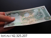 The Arab Emirates Dirham Arabic. ISO code AED is the official currency of the United Arab Emirates. Dirham is subdivided into 100 fils. Dirham was officially pegged to the IMF special drawing rights (2023 год). Стоковое фото, фотограф Юлия Петровская / Фотобанк Лори