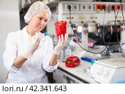 Female scientist injecting reagent from syringe into bell pepper, performing scientific researching of food genetic modification in laboratory. Стоковое фото, фотограф Яков Филимонов / Фотобанк Лори