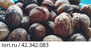 Walnuts close-up. Harvest of nuts. Walnut fruits, rounded large single single-seeded drupes. A healthy diet that includes glycerides of linoleic, oleic, stearic, palmitic and linolenic acids. Стоковое фото, фотограф Юлия Петровская / Фотобанк Лори