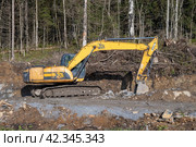 Гусеничный экскаватор JCB JS220 на строительстве дороги в лесу солнечным октябрьским днем. Карелия (2023 год). Редакционное фото, фотограф Виктор Карасев / Фотобанк Лори