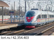Скоростной электропоезд ЭВС1-16 "Сапсан" проходит пригородную станцию   мартовским днем. Октябрьская железная дорога (2024 год). Редакционное фото, фотограф Виктор Карасев / Фотобанк Лори