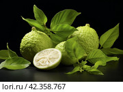 Zestful Ripe bergamot. Generate Ai. Стоковое AI-изображение, AI-художник Иван Рябоконь / Фотобанк Лори
