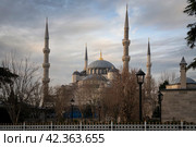 View of the Blue Mosque (Sultan Ahmed Mosque) in Sultanahmet district in the European part of Istanbul, Turkey. Стоковое фото, фотограф Ula Ulachka / Фотобанк Лори