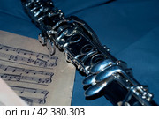 Musical instrument. Стоковое фото, фотограф Евгения Кравцова / Фотобанк Лори