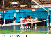 Photo of coach analyze game of volleyball team during timeout in sports school gym, selective focus. Team volleyball game over net. Concept of team game, team success, active match. Copy ad text space. Стоковое фото, фотограф Aleksandr Golubev / Фотобанк Лори