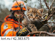 Worker in hard hat rescuing a kitten stuck in tree with a gentle gesture. Стоковое AI-изображение, AI-художник Юрий Поздников / Фотобанк Лори