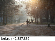 Италия. Милан. Парк Семпионе в Милане (Parco Sempione) (2019 год). Стоковое фото, фотограф Ерохин Дмитрий Викторович / Фотобанк Лори