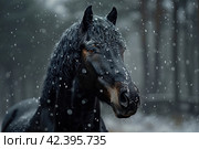 Black horse winter portrait in action,    Generative AI. Стоковое AI-изображение, AI-художник Анна Кривицкая / Фотобанк Лори