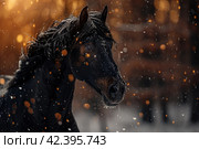 Black horse winter portrait in action,    Generative AI. Стоковое AI-изображение, AI-художник Анна Кривицкая / Фотобанк Лори