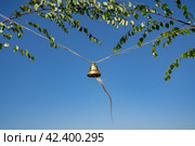 Колокольчик и ветки березы на празднике Ысыах, Якутия. Стоковое фото, фотограф Алексей Прокопьев / Фотобанк Лори