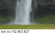 Closeup of Seljalandfoss waterfall Iceland in rainy moody weather. Стоковое видео, видеограф Igor Tichonow / Фотобанк Лори