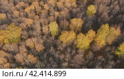 Южный Урал, Башкирия, осенний лес. Вид с воздуха. Southern Urals, Bashkiria, autumn forest. Aerial view. Стоковое видео, видеограф Евгений Романов / Фотобанк Лори