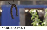 Подкова от лошади висит на крючке horseshoe from a horse hanging on a hook. Стоковое видео, видеограф Опока Алексей / Фотобанк Лори