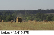 Лето, поле трактор едет среди стогов  summer, field tractor rides among the haystacks. Стоковое видео, видеограф Опока Алексей / Фотобанк Лори
