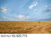 Wind turbines in the field against a blue sky in summer. Стоковое фото, фотограф Светлана Семёновская / Фотобанк Лори