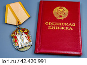 Орденская книжка и орден "Знак Почета" (2024 год). Редакционное фото, фотограф Анна Аникова / Фотобанк Лори