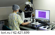 Embryologists conduct tests with human eggs. in the reproduction lab. Стоковое фото, фотограф Андрей Шалари / Фотобанк Лори