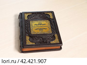 Книга по журналистике в кожаной отделке (2024 год). Редакционное фото, фотограф Вероника Павлова / Фотобанк Лори