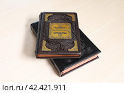 Книга по журналистике в кожаной отделке (2024 год). Редакционное фото, фотограф Вероника Павлова / Фотобанк Лори