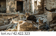Military ruins occupied by cats,    Generative AI. Стоковое AI-изображение, AI-художник Анна Кривицкая / Фотобанк Лори