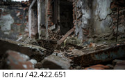 Military ruins occupied by cats,    Generative AI. Стоковое AI-изображение, AI-художник Анна Кривицкая / Фотобанк Лори