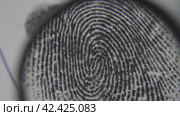 Expertise of fingerprints. Macro shot. Стоковое видео, видеограф EStarodubov / Фотобанк Лори