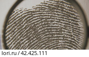 Fingerprints are investigated on fingerprint card. Macro shot. Стоковое видео, видеограф EStarodubov / Фотобанк Лори
