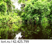 The Amazon river in Peru and Brazil, South America (2011 год). Стоковое фото, фотограф Сергей Стрелков / Фотобанк Лори