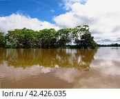 The Amazon river in Peru, South America (2011 год). Стоковое фото, фотограф Сергей Стрелков / Фотобанк Лори