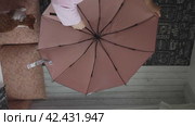 A woman reviews a purchased umbrella. Demonstrates the work of protecting the spokes from the wind. A playful cat is playing with an umbrella. Vertical video. Стоковое видео, видеограф Vadzim Yakubovich / Фотобанк Лори