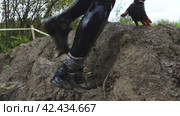 Overcome obstacle courses in water and mud. Стоковое видео, видеограф Андрей Шалари / Фотобанк Лори
