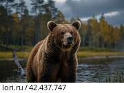 Brown bear against the background of a lake,    Generative AI. Стоковое AI-изображение, AI-художник Анна Кривицкая / Фотобанк Лори