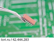 Электронный компонент удерживается в пинцете на фоне печатной платы. Electronic component held with tweezers. Стоковое фото, фотограф Татьяна Д / Фотобанк Лори