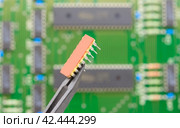 Электронный компонент удерживается в пинцете на фоне печатной платы. Electronic component held with tweezers. Стоковое фото, фотограф Татьяна Д / Фотобанк Лори