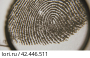 Fingerprints are investigated on fingerprint card. Macro shot. Стоковое видео, видеограф EStarodubov / Фотобанк Лори
