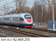 Скоростной электропоезд ЭВС1-11 "Сапсан" солнечным мартовским днем. Станция Славянка, Ленинградская область (2024 год). Редакционное фото, фотограф Виктор Карасев / Фотобанк Лори