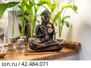 Spathiphyllum cochlearispathum commonly called peace lily growing in water in glass, with buddha. Стоковое фото, фотограф Татьяна Терехина / Фотобанк Лори
