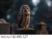 Owl on cemetery gravestone in darkness. Generate ai. Стоковое AI-изображение, AI-художник Иван Рябоконь / Фотобанк Лори